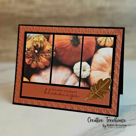 Easy Greeting Cards, Designer Paper Cards, Tiny Christmas Trees, Fall Greeting Cards, Gratitude Cards, Halloween Cards Handmade, Pumpkin Cards, Leaf Cards, Make Your Own Card