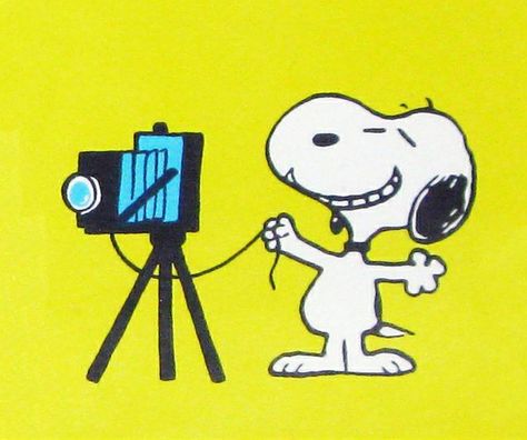 SAY CHEESE Peanut Pictures, Snoopy Friends, Woodstock Charlie Brown, Snoopy Collectibles, Snoopy Images, Peanuts Snoopy Woodstock, Peanuts Cartoon, Peanuts Characters, Snoopy Quotes