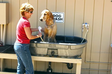 Dog Washing Station Outdoor, Dog Bathing Station, Diy Dog Wash, Portable Dog Kennels, Dog Grooming Tubs, Washing Station, Dog Washing Station, Dog Friendly Hotels, Dog Yard