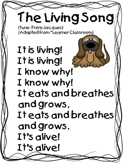 Hello Everyone!   PHEW! Four day weeks can be very tiring!  Especially the four day week that comes after the holiday break!  I always try t... Science Kindergarten, Projects Science, Pre-k Science, Living And Nonliving, Fun Song, Pets Preschool Theme, Song Ideas, 1st Grade Science, First Grade Science