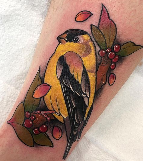 ✖️A d r i a n a R✖️ (@adrianartattoo) • Instagram photos and videos Yellow Finch Tattoo, Gold Finch Tattoo, Best Bird Tattoos, Goldfinch Tattoo, Canary Tattoo, Yellow Bird Tattoo, Finch Tattoo, Athlete Photography, Scotland Tattoo