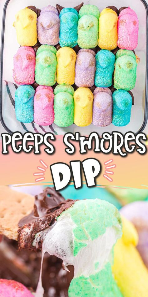 Peeps Dessert, Peeps Recipes, Easy Dessert Dips, Cold Dip Recipes, Dessert Dip Recipes, Smores Dip, Best Dip Recipes, Easter Bunny Treats, Easy Easter Desserts