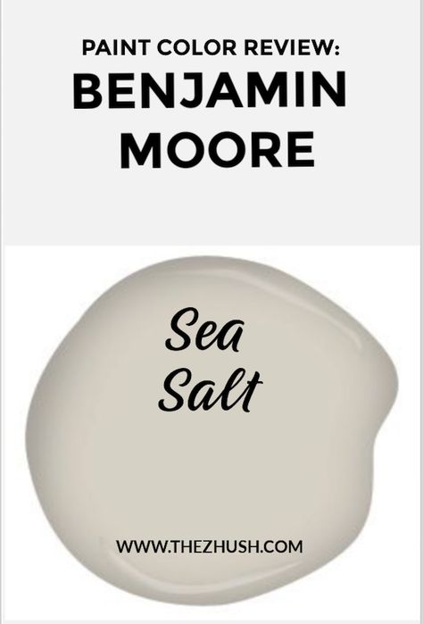 Find real life examples of this versatile wall paint color from our home. Benjamin Moore's Sea Salt is a great neutral wall color. Sailcloth Benjamin Moore, Sea Salt Benjamin Moore, Benjamin Moore Sea Salt, Sea Salt Paint, Salt Wall, Wall Paint Color, Blue Nursery Boy, Home Images, Best White Paint