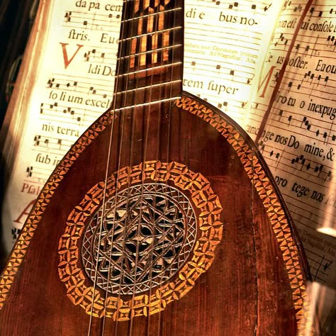 Lute Aesthetic, Lute Instrument, Tiefling Bard, Bard College, Captive Prince, Yennefer Of Vengerberg, Interesting Photos, 4 Seasons, Aesthetic Images