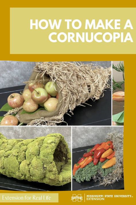 If you like do-it-yourself projects, making your own cornucopia is an easy project. Make A Cornucopia, Thankful And Grateful, Horn Of Plenty, Mississippi State, Do It Yourself Projects, Be Thankful, Life Blogs, Easy Projects, Horn