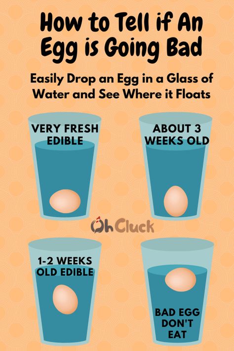 Egg Float Test, Egg Test, Bad Eggs, Baking Substitutes, Food Info, Food Facts, Fresh Eggs, How To Cook Eggs, An Egg