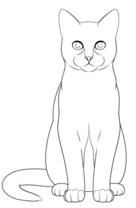 Cat Drawing Front View, Cat Drawing Sketches Easy, Draw Cats Easy, Easy Cat Drawing Simple, Cats Drawing Sketches, Cat Outline Drawing, Sketches Art Sketchbook, Cat Portrait Drawing, Cat Drawing Sketches