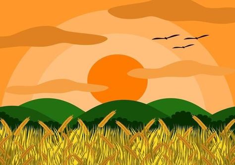 Free Rice Field Illustration 128801 Vector Art at Vecteezy Rice Field Drawing, Rice Field Illustration, Money Animation, Sunrise Drawing, Sunset Vector, Field Illustration, Tats Ideas, Myanmar Art, Sunset Artwork