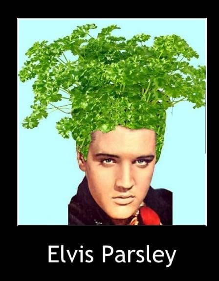 #fruit #vegetables #memes #humor #fun #funny #jokes Celebrity Puns, Hilarious Puns, Hee Man, Celebrity Memes, Very Funny Pictures, Funny Profile Pictures, Funny Reaction Pictures, Random Memes, Quick Jokes