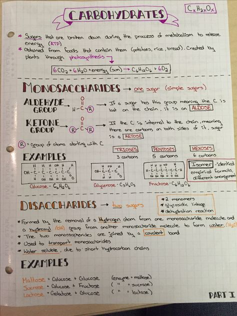 Carbohydrates (monosaccharides and disaccharides) Types Of Carbohydrates, Biology Carbohydrates Notes, Monosaccharides Notes, Carbohydrates Notes Biology, Bsc Biotechnology Notes, Nutrition Biology Notes, Carbohydrates Chemistry, Biochemistry Notes Carbohydrates, Macromolecules Biology Notes