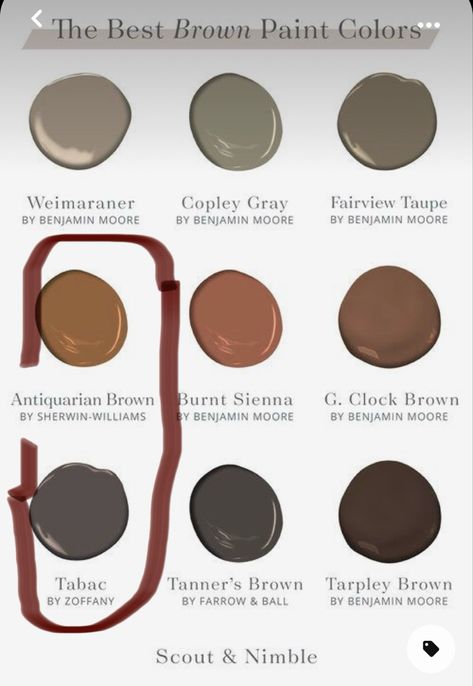 Chocolate Brown Paint, Basement Paint Colors, Brown Paint Colors, Victorian Interior Design, Victorian Interior, Accent Wall Paint, House Color Palettes, Color Board, House Color