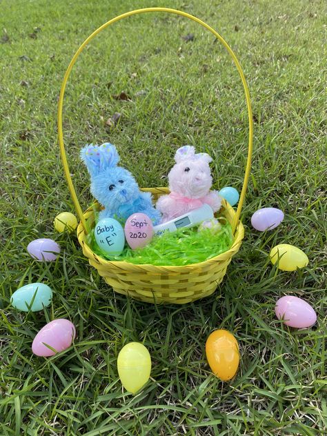 Easter Themed Gender Reveal, Bunny Gender Reveal, Bunny Gender, Easter Baby Announcement, Baby Gender Reveal Ideas, Easter Pregnancy Announcement, Themed Gender Reveal, Boy Announcement, Easter Photoshoot