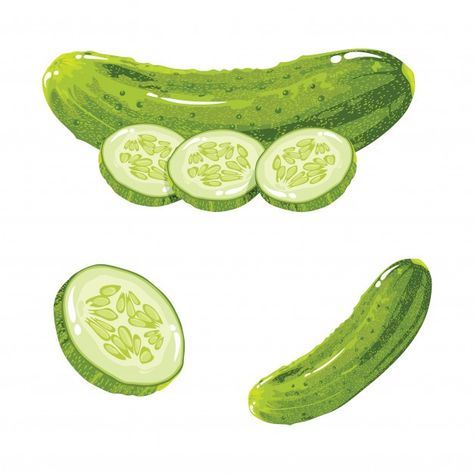 Cucumber realistic | Premium Vector #Freepik #vector #background #food #green #nature Cucumber Gin Cocktail, Plant Logo, Food Paper, Fruit Candles, Plant Logos, Sport Graphics, Realistic Cartoons, Background Food, Cucumbers And Onions