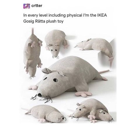 Stuffed Mouse, Tumblr Posts, Rats, Mice, The Floor, Funny Things, Stuffed Animals, Funny Stuff, Cool Stuff