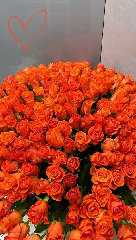 Orange Roses Bouquet Aesthetic, Orange Roses Aesthetic, Orange Flowers Aesthetic, Orange Roses Bouquet, Orange Flower Bouquet, Orange Rose Bouquet, Roses Orange, Luxury Flower Bouquets, Prettiest Bouquet