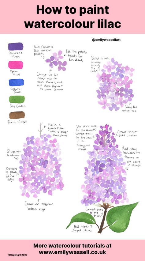 Flower Watercolour Tutorial, How To Draw Lilacs Step By Step, Watercolor Lilacs Tutorial, How To Paint Lilacs, How To Paint Watercolour Flowers, How To Watercolour Paint, Lilac Watercolor Paintings, Learning To Paint Beginners, Watercolour Beginner Ideas