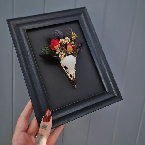 Another piece from my dark collection, black bird skull with floral display 🖤 #skulls#bones#curio#oddity#odditydecor#cabinetofcuriosities#witchy#gothicdecor#roses#halloweeneveryday#darkaesthetic#darkacademia#gothichomedecor#taxidermy Oddities Collection Cabinet Of Curiosities, Bird Skull Display, Oddities Collection, Oddities Decor, Annual Halloween Party, Taxidermy Art, Bird Skull, Floral Display, Taxidermy