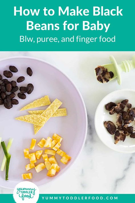 Black Beans for Baby (Puree and BLW) Black Bean Recipes Easy, Beans For Babies, Baby Weaning Foods, How To Make Beans, Sweet Potato Baby Food, Bean Puree, Slow Cooker Black Beans, Weaning Foods, Black Bean Recipes