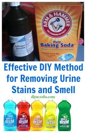 Removing urine stains and smell, as well as skunk smell. Clean clothes, dogs, mattresses and couches. About the same as homemade oxyclean recipes I've seen. Clean Hacks, Handy Gadgets, Urine Smells, Urine Stains, Diy Cleaners, Cleaning Recipes, Cleaners Homemade, Natural Cleaning Products, House Cleaning Tips