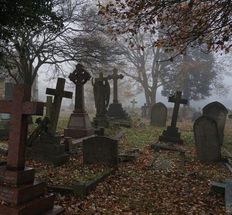 Old Cemetery, Cemeteries Photography, Old Cemeteries, Cemetery Art, Southern Gothic, Gothic Aesthetic, Season Of The Witch, The Fog, Six Feet Under