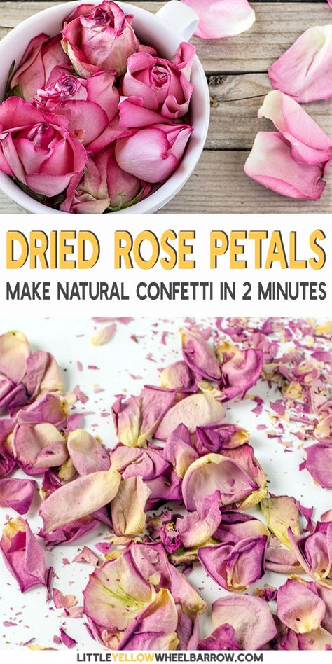 Rose petals are so lovely in crafts and DIY projects. If you want to dry roses for crafts, teas, beauty products, or more, learn how to dry them quickly and easily. Using this easy method you can easily dry rose petals in just a couple of minutes. Find out how easy it is to make your own dried rose petals that hold their shape and don't crumble when touched. #roses #projects #flowers #diy #easy #howto #littleyellowwheelbarrow Drying Flowers For Confetti, How To Dry Flower Petals For Confetti, How To Make Flower Petal Confetti, How To Make Your Own Confetti, Diy Biodegradable Confetti, Diy Flower Confetti, How To Dry Flower Petals, How To Dry Rose Petals, Drying Rose Petals