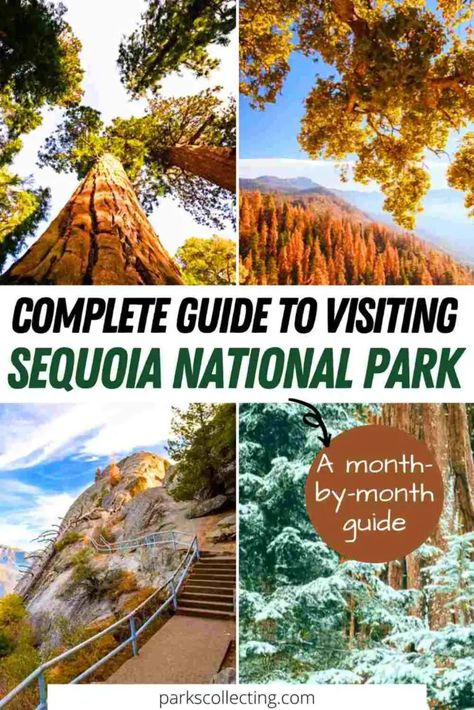 Things To Do In Sequoia National Park, Sequoia National Park Photo Ideas, Sequoia National Park Map, Sequoia Camping, California Hot Springs, Sequoia National Park California, Sequoia National Park Camping, West Coast Travel, American National Parks