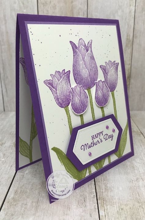 Timeless Tulips Stampin Up Cards, Stampin Up Get Well, Strawberry Cards, Tulip Cards, Tulips Card, Paper Daisy, Cas Cards, Stampin Up Catalog, Tulip Fields