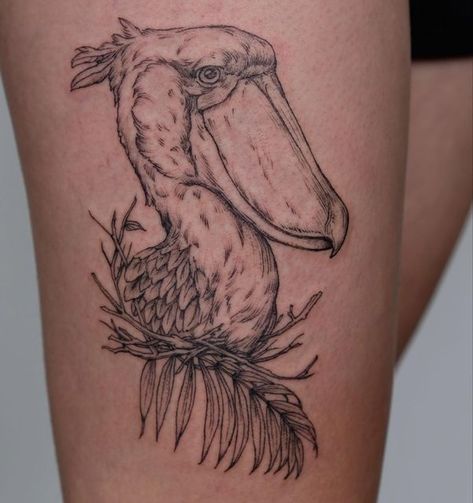 Shoebill Tattoo, Shoebill Stork Tattoo, Stork Tattoo, Tattoo Calf, Pnw Tattoo, Portland Tattoo, Shoebill Stork, Body Modification, Dream Tattoos