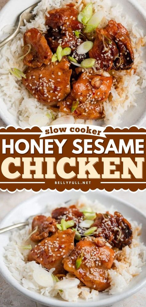 Instant Pot Honey Garlic Chicken, Sesame Chicken Crockpot, Slow Cooker Cuban Pork, Honey Sesame Chicken, Sesame Chicken Recipe, Honey Sesame, Tasty Meat, Crock Pot Chicken, Chicken Dish