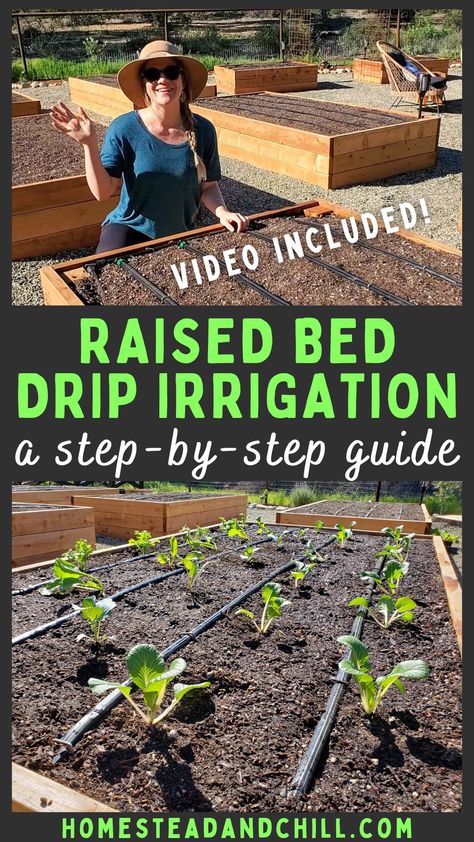 Drip irrigation saves time, energy, money and water - and makes plants grow healthier than ever! Learn how to set up automated drip irrigation for raised garden beds using drip tape with these step-by-step instructions. Video included! #dripirrigation #raisedbeds #gardening #garden #gardentips Raised Bed Irrigation, Raised Garden Beds Irrigation, Garden Watering System, Vegetable Garden Raised Beds, Building A Raised Garden, Plants Growing, Diy Raised Garden, Raised Garden Beds Diy, Vegetable Gardens