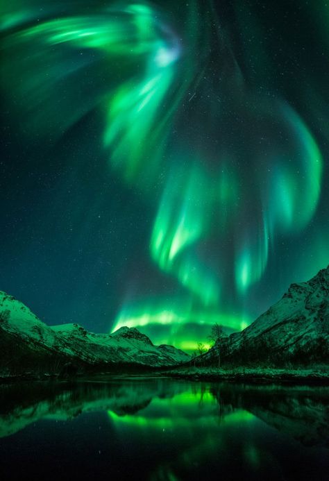 Astronomy Photography, Northern Lights (aurora Borealis), Southern Lights, Aurora Australis, Aurora Borealis Northern Lights, Northern Light, The Aurora, The Northern Lights, Natural Phenomena