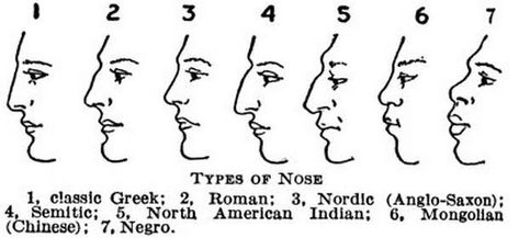 Greek Nose, Type Chart, Nose Types, Realistic Cartoons, Face Reading, Face Study, Nose Drawing, Nose Shapes, Human Drawing