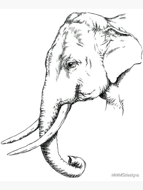 Animal Black And White Drawing, Asian Elephant Drawing, Asian Elephant Tattoo, Elephant Drawing Realistic, Drawing With Background, Elephant Head Drawing, Indian Elephant Drawing, Elephant Art Drawing, Indian Elephant Art