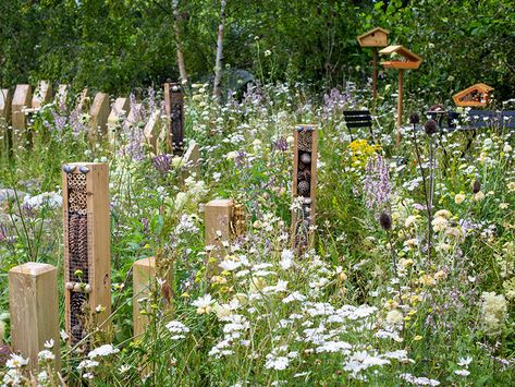 Eco Garden, Insect Hotel, Birds And Butterflies, Sensory Garden, Hillside Landscaping, Bee Garden, Landscape Architecture Design, Wildlife Gardening, School Garden