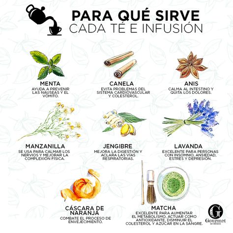 Cada taza tiene un poder curativo, relajante, o reparador. Conoce los beneficios de cada planta con la que puedes preparar deliciosos tés e infusiones. Frankincense Oil Uses, Living A Healthy Life, Natural Medicine, Tea Recipes, Healthy Treats, Healthy Tips, Health And Nutrition, Healthy Drinks, Natural Health