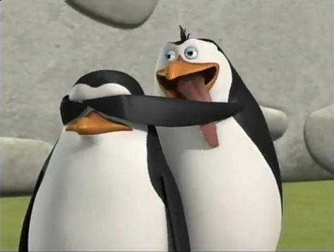 Haha, they're always so protective of Private! Rico Penguin Madagascar, Penguins Of Madagascar Pfp, Madagascar Penguins, Funny Cartoon Photos, Penguins Of Madagascar, Minions Wallpaper, Dreamworks Movies, Penguin Love, Concept Art Character