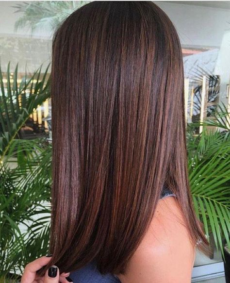 Rich dimensional brunette #ombremediumhair Brown Highlights, Straight Hair, Medium Length, Brown Hair, Straight Hairstyles, Highlights, Hairstyles, Hair