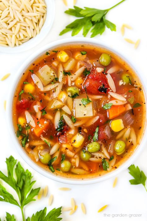 Vegetable Orzo Soup, Vegetable Orzo, Garden Grazer, Meatless Meals Healthy, Orzo Soup Recipes, Orzo Soup, Orzo Recipes, Soup Easy, Vegan Soup Recipes