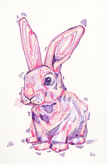 Pencil Color Drawing Animals, 2023 Rabbit Illustration, Pen Art Colorful, Colored Marker Art, Colored Pen Drawing Ideas, Colorful Bird Drawing, Colored Pencil Animal Art, Marker Art Animals, Marker Ideas Drawing