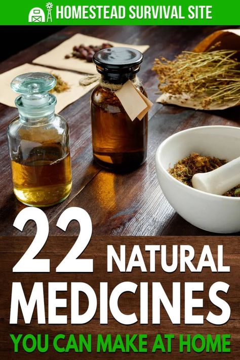 Herbal Remedies Recipes, Home Medicine, Cold Sores Remedies, Natural Healing Remedies, Herbal Healing, Home Health Remedies, Herbs For Health, Cold Remedies, Homemade Remedies