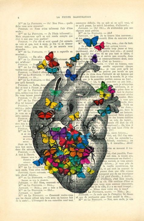 Anatomical Heart Art, Rainbow Butterflies, Butterfly Poster, Dictionary Art Print, Heart Illustration, Dictionary Art, Medical Art, Human Heart, Anatomy Art