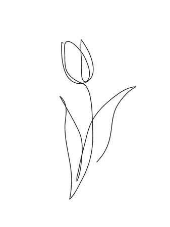 Drawing One Line, Flowers Sketch, Ideas Sketch, Tulip Tattoo, Flower Line Art, Line Art Minimalist, Line Art Flowers, Flower Outline, Minimalist Drawing