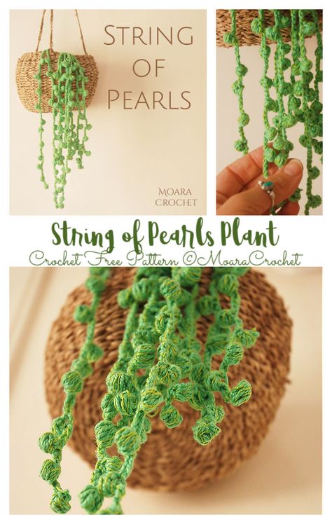 String of Pearls Plant Crochet Free Pattern Plant Crochet, String Of Pearls Plant, Crochet Plant Hanger, Crochet Succulent, Crochet Plant, Crochet Leaves, Crochet Home Decor, String Of Pearls, Crochet Free