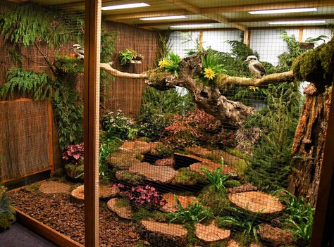 Diy Bird Cage, Katt Grejer, Zoo Architecture, Pet Bird Cage, Reptile House, Cat Patio, Large Bird Cages, Reptile Room, Pet Enclosure