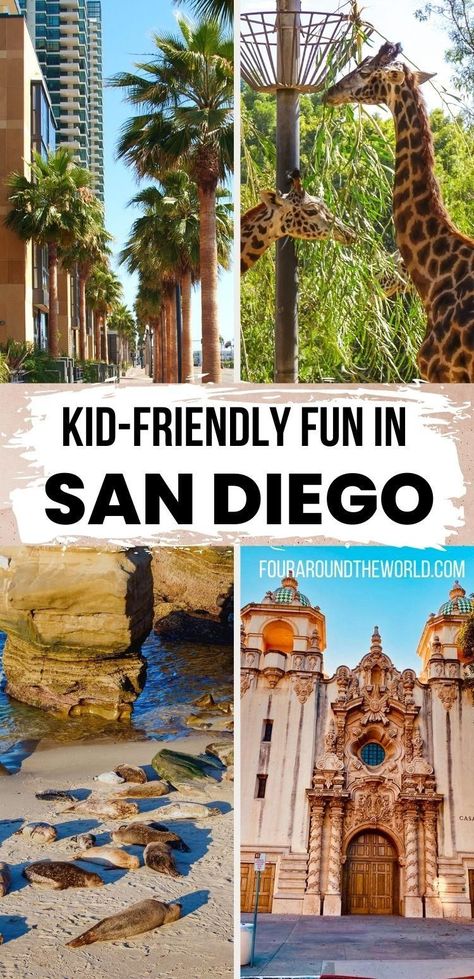 Discover the best family-friendly attractions in San Diego, California, with the best things to do in San Diego with kids. These fun activities with kids in San Diego are perfect for the whole family, from babies and toddlers right up to bringing the grandparents too. Beautiful scenery and beaches, San Diego day trips and exciting places to visit in the city with this complete travel guide #sandiegowithkids #thingstodoinsandiego Free Things To Do In San Diego, Summer In San Diego, Fun Things To Do In San Diego, San Diego Things To Do In, San Diego With Kids, San Diego Bucket List, Mission Beach San Diego, San Diego Kids, San Diego Activities