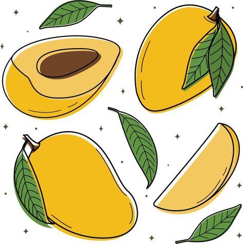 Vector illustration of a sweet mango set. Design elements for many, advertising and covers, children's books, food and food illustrations. Vector of fruits, leaves of garden plants. Dietary nutrition Mango Illustrations, Mango Vector, Mango Leaf, Leaf Graphic, 3d Vector, Food Illustrations, Set Design, Children's Books, Garden Plants