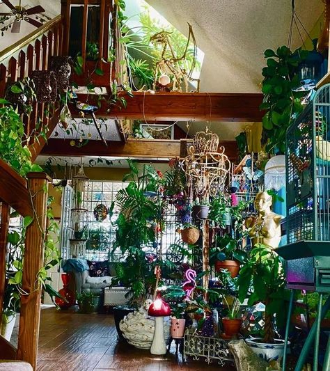 Victorian Boho Bedroom, Maximalist Sunroom, Moroccan Patio Ideas, Apartment Decor Black, Plant Rooms, Aesthetic Scenes, Victorian Bohemian Decor, Cozy Dorm, Victorian Boho