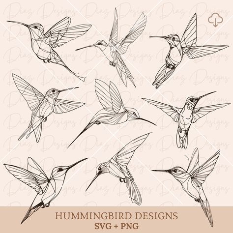 Hummingbird Graphic Design, Hummingbird Outline, Hummingbird Coloring Pages, Geometric Hummingbird Tattoo, Hummingbird Designs, Hummingbird Vector, Origami Hummingbird, Hummingbird Clipart, Hummingbird Svg