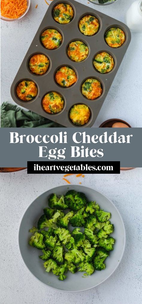 These broccoli cheddar vegetarian egg bites are a delicious, high-protein breakfast! You can prepare a batch of these and reheat them in the microwave for a quick snack whenever you need it! Vegetarian Egg Cups, Low Cholesterol Egg Bites, Egg Broccoli, Egg Bite Meal Prep, At Home Egg Bites, Broccoli Cheese Egg Bites, Brocolli Egg Bites, Egg Bites Vegetarian, Broccoli Cheddar Egg Bites