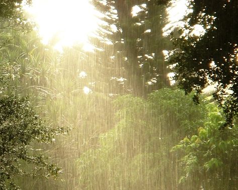 Smell Of Rain, Sun Aesthetic, Rainy Day Aesthetic, I Love Rain, Rain Storm, Love Rain, Summer Rain, Sun Is Shining, When It Rains